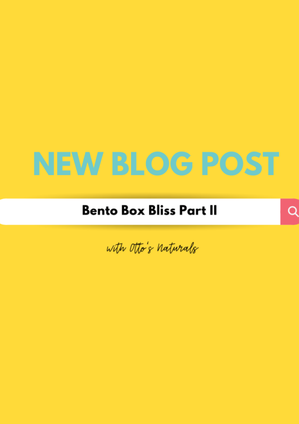 Bento Box Bliss Part Two