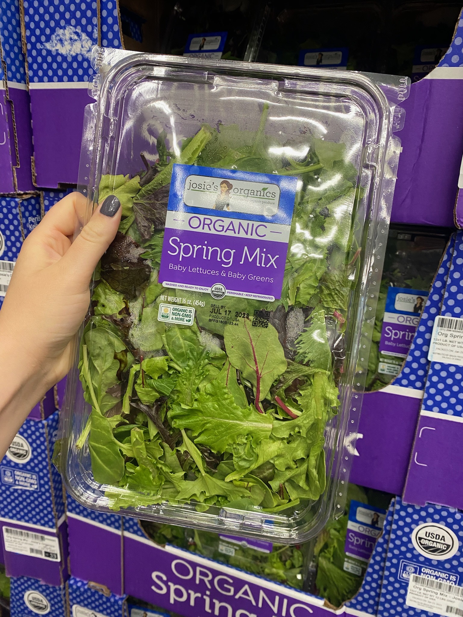spring mix from healthy favorites at Costco