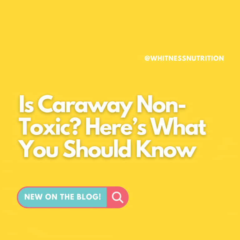 caraway non-toxic