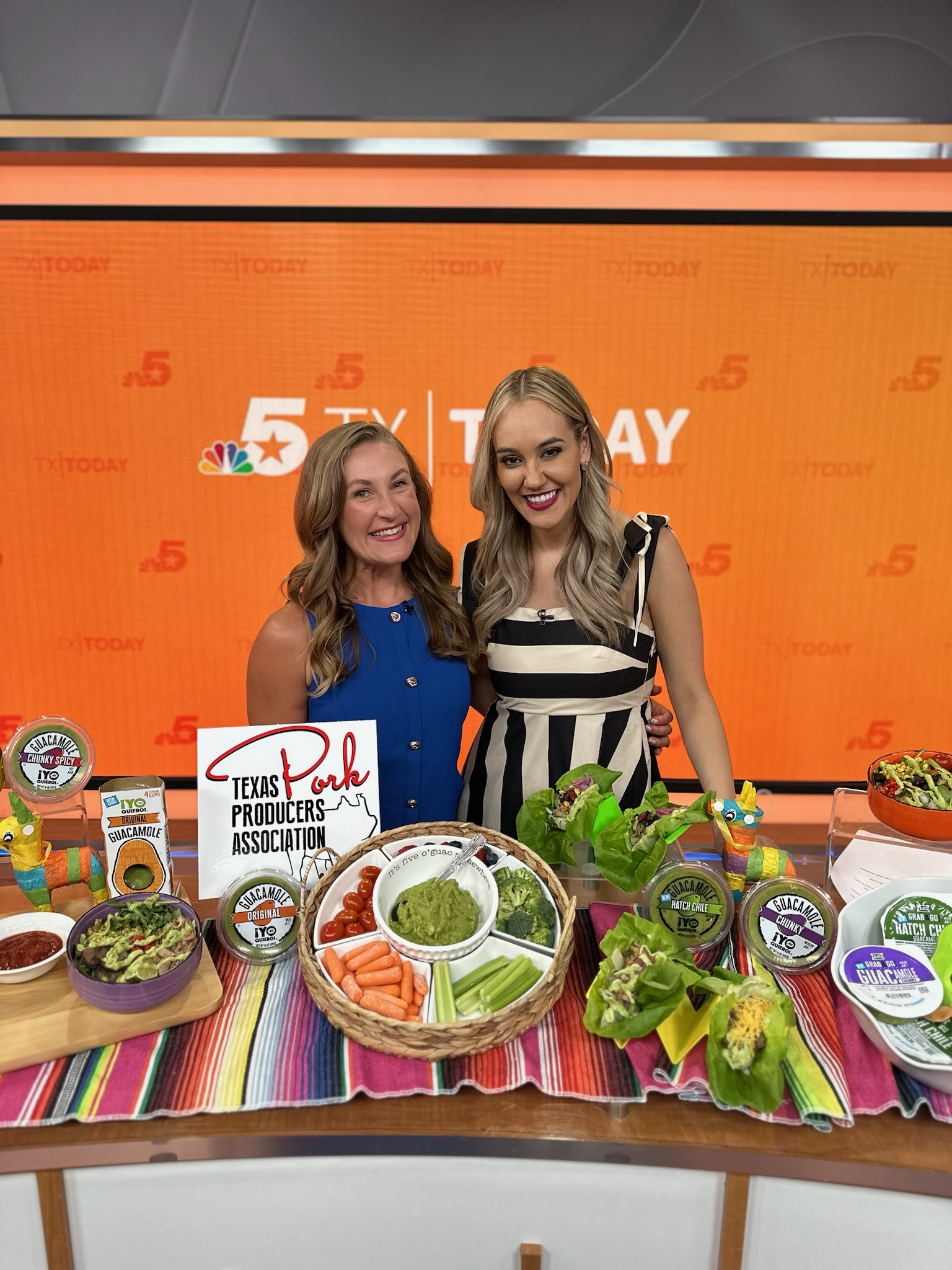 whitney stuart media dietitian on texas today